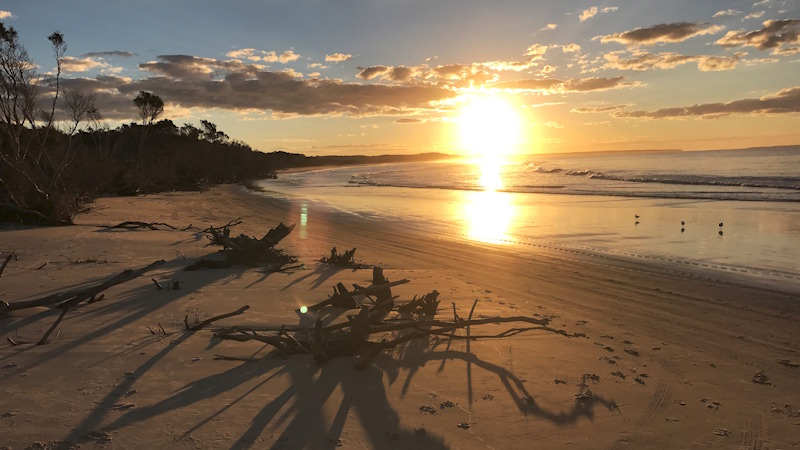 A sunset on a beach, driftwood on the sand, one of the many film locations available from Qld Film Locations